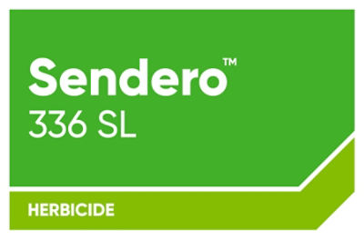 Sendero 336 SL